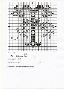 T_bicolore_160__2_
