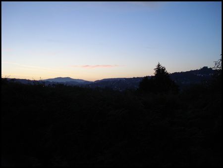 DSC02151