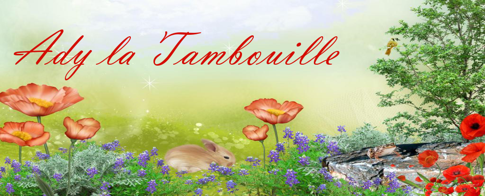 Ady La Tambouille