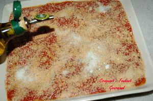 Parmesane_d_aubergines__DSC_6552_4388