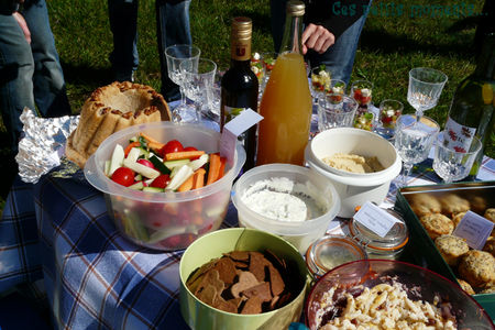 picnic_sal__7