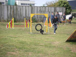 ULYSSE en Agility 70756586_p