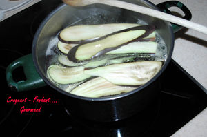 Parmesane_d_aubergines___DSC_6545_4381