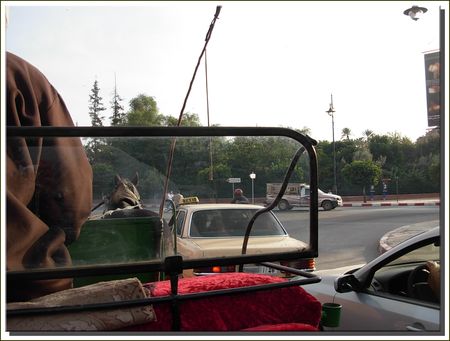 marrakech__418_