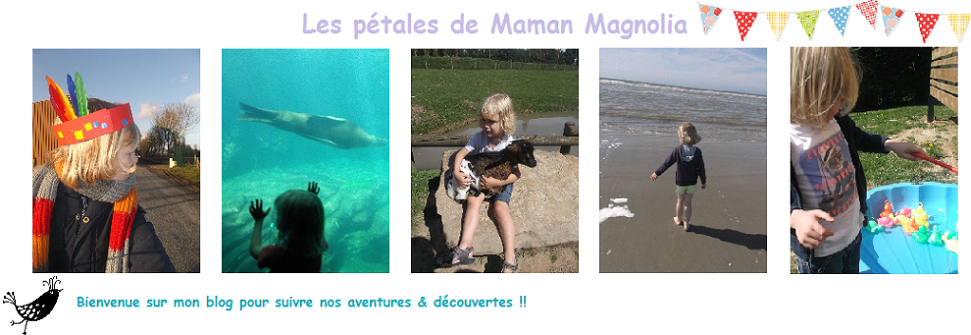 Les pétales de Maman Magnolia