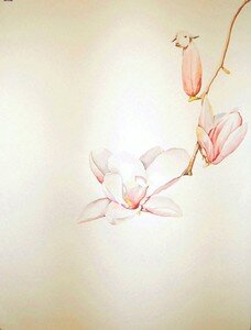 goat_magnolia_5
