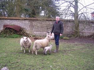 jean_paul_thorez_avec_moutons