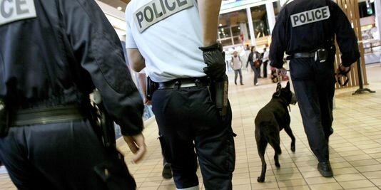 Une soixantaine de fonctionnaires radicalisés sont fichés Policiers Lyon
