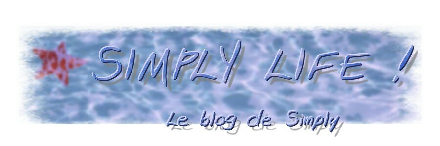 le blog de simply