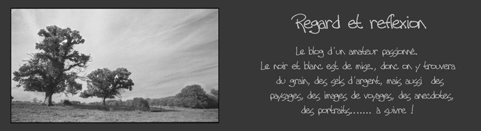 Regard et Reflexion