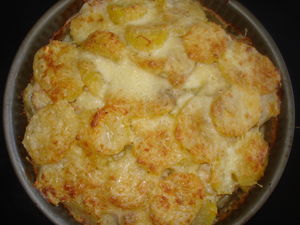 toutes sortes de gratins 37060634_p
