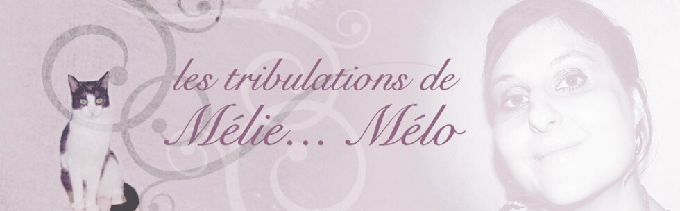 Les Tribulations d'Amélie Mélo