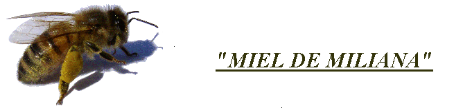 Miel artisanal "MILIANA"