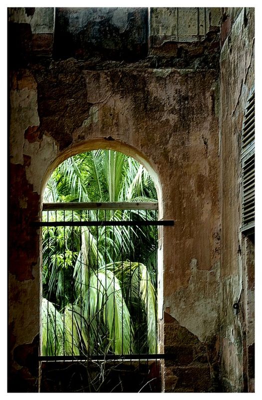 Défi Post Traitement X : "Urbex Guyanais" - Page 2 57729765