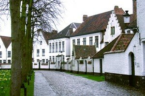 IMG_8192