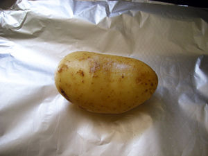 DSCN3752