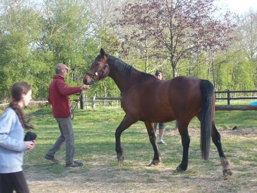 2010paq2 - Lucie (82)