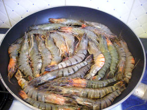 DSCN2637