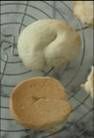 gateaux_vin_bl_7