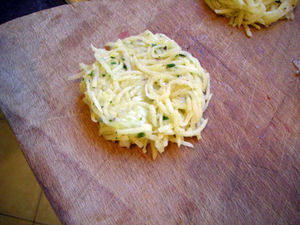 DSCN0457