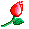 flower_039