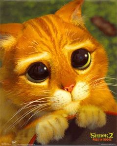 Puss_in_Boots___Shrek_2__C10123744