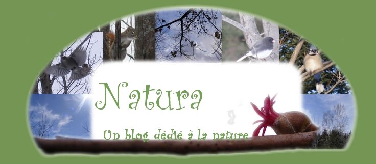 Natura