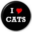 I love cats2