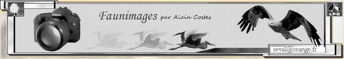 FAUN'IMAGES par Alain Costes
