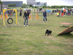 ULYSSE en Agility 70756466_p