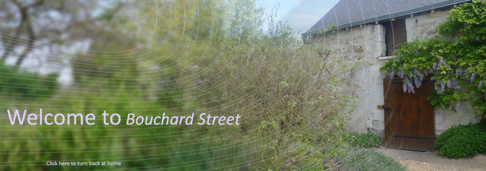 Welcome to Bouchard Street. To book a guesthouse in France, Pays de la Loire_Le Thoureil