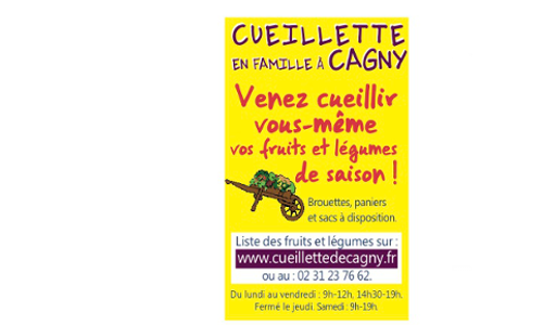 cueillette affiche