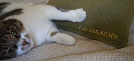 coussin_kana_2