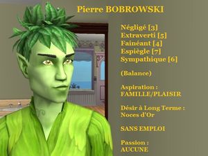 Pierre BOBROWSKI