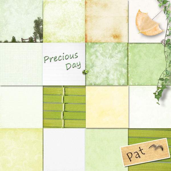 Pat_preview_PreciousDay_papiers