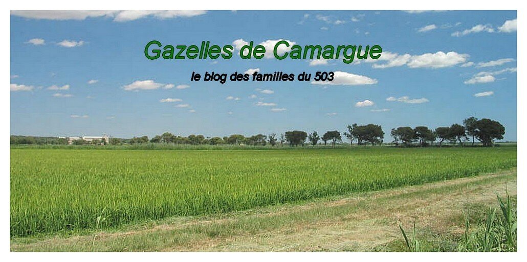 Gazelles de Camargue