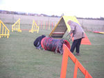 ERA en Agility 70751677_p
