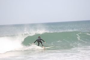 IMG_4054