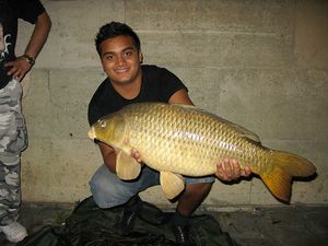 carpe_1