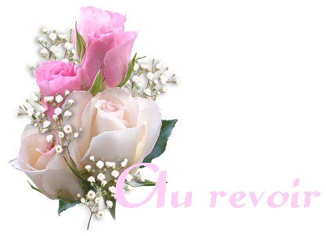 aurevoir07