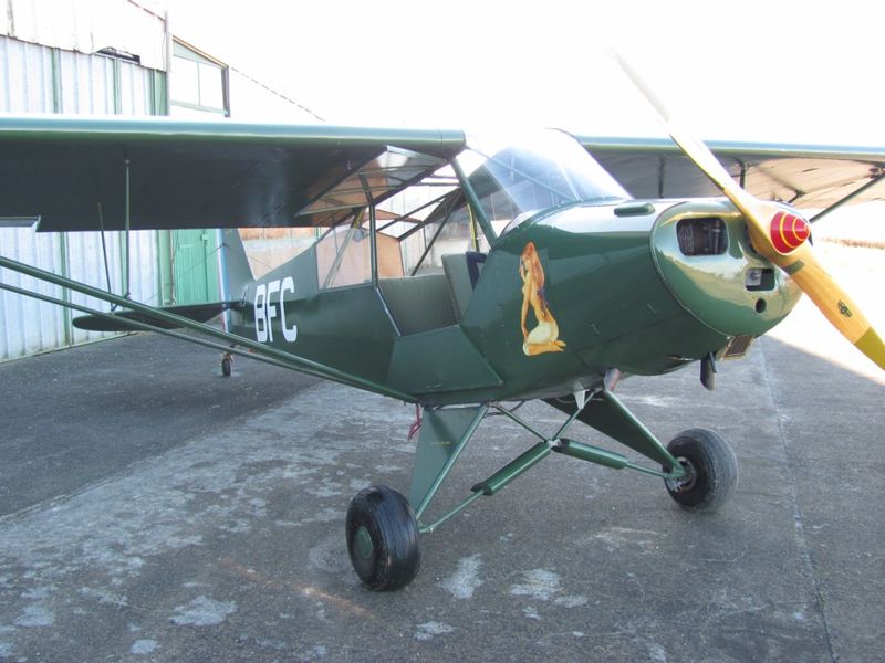 Vends Piper CUB 60793488