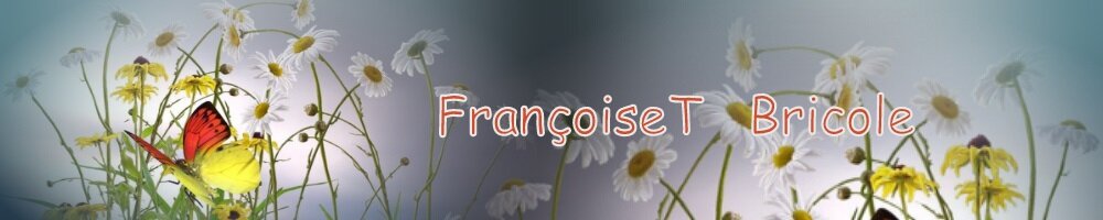 FrançoiseT bricole