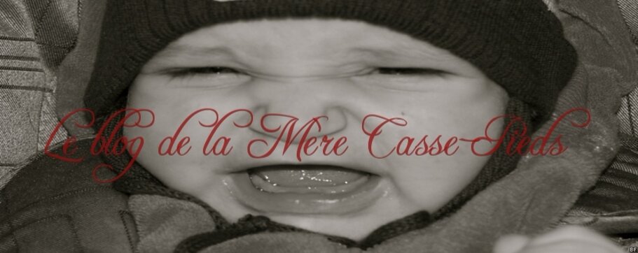 Le blog de la Mère Casse-Pieds