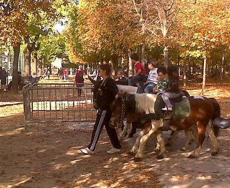 IMG00843_20101009_1540