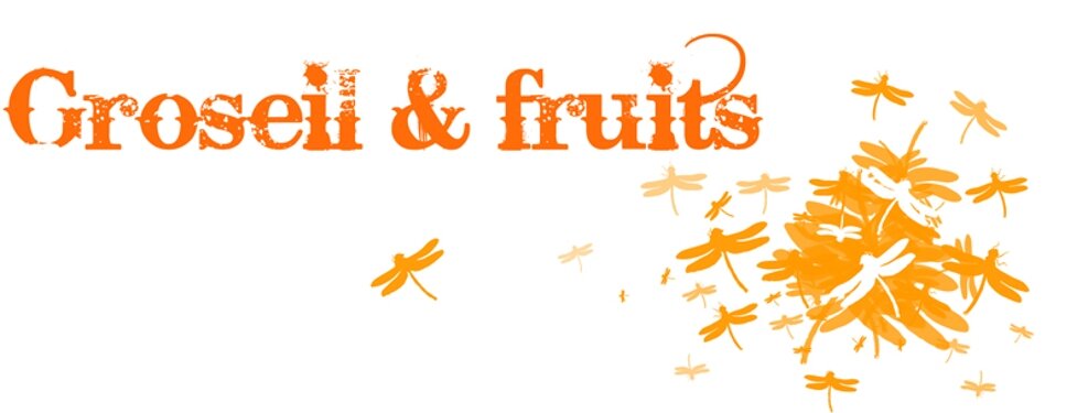 Groseil & Fruits