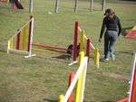ULYSSE en Agility 70757950_p