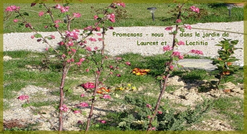 Promenons nous dans le jardin de Laurent & Laetitia