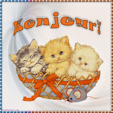 57310126_p.gif