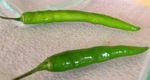 piments_verts_frais