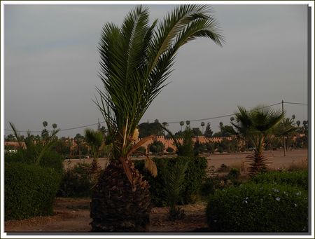 marrakech__446_